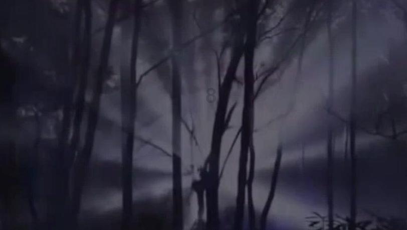 神奇蜘蛛侠