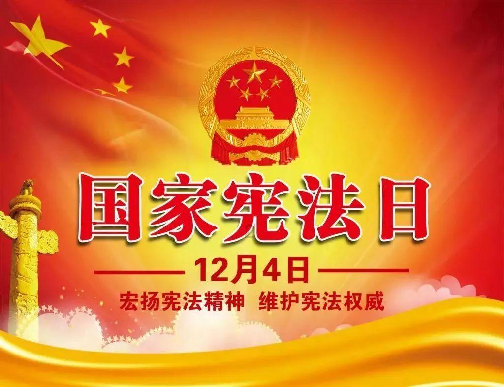 月季花有什么用途游戏画面